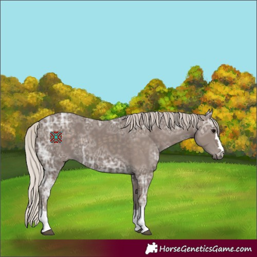 Horse Color:Silver Black Ice 
