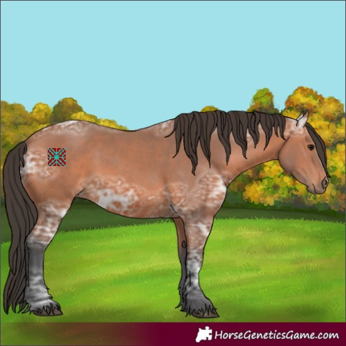 Horse Color:Bay Ice 