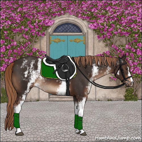 Horse Color:White Spotted Liver Chestnut 