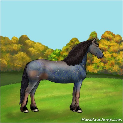 Horse Color:ERROR: UNKNOWN ANOMALY