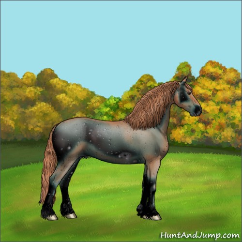 Horse Color:ERROR: UNKNOWN ANOMALY