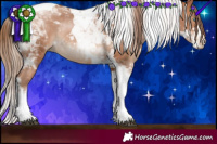 Horse Color:White Spotted Bay Pearl Tobiano Rabicano