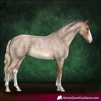 Horse Color:White Spotted Chocolate Palomino Roan 