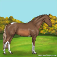 Horse Color:Chestnut Tobiano