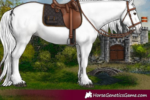 Horse Color:Gray Red Dun 