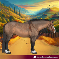 Horse Color:Bay Dun