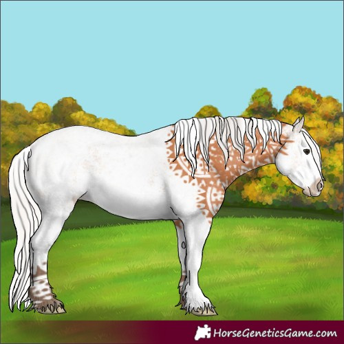 Horse Color:White Spotted Silver Bay Splash 