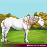 Horse Color:White Spotted Silver Bay Splash 