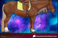 Horse Color:Chestnut Tobiano