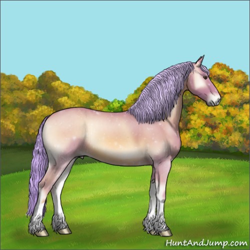 Horse Color:Watercolor Palomino Onyx 