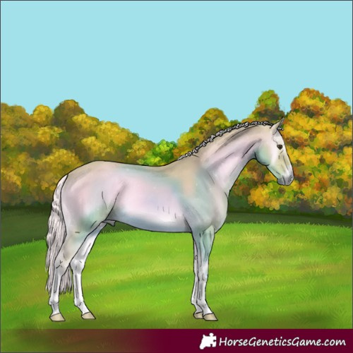 Horse Color:Watercolor Palomino Onyx 