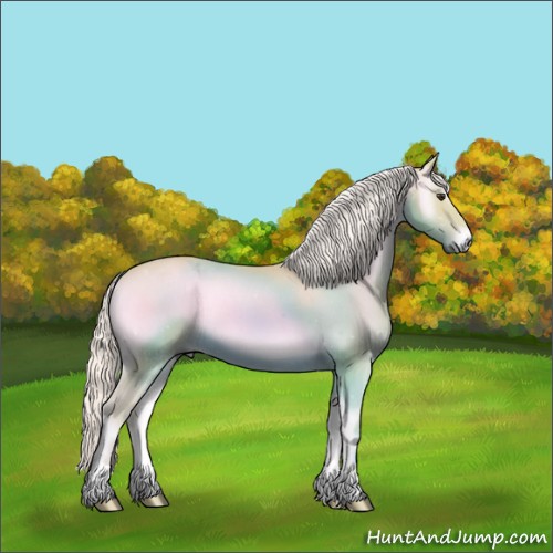 Horse Color:Watercolor Palomino Onyx 