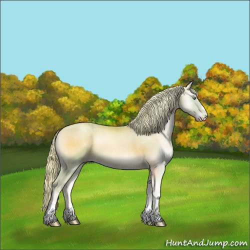 Horse Color:Watercolor Palomino Pearl Onyx Sabino 