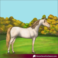 Horse Color:Red Roan Pearl 