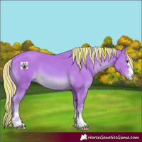Horse Color:Painted Watercolor Palomino 