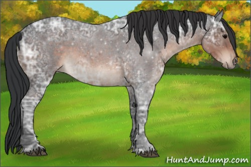 Horse Color:Brown Ice Roan 