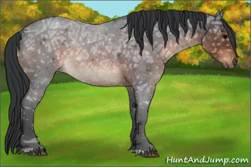 Horse Color:Brown Ice Roan
