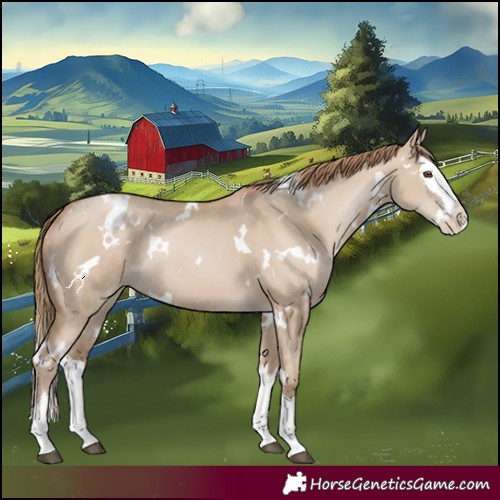 Horse Color:White Spotted Grullo Pearl Splash 