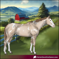 Horse Color:White Spotted Grullo Pearl Splash 