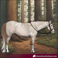 Horse Color:White Spotted Grullo Pearl Splash 