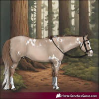 Horse Color:White Spotted Grullo Pearl Splash