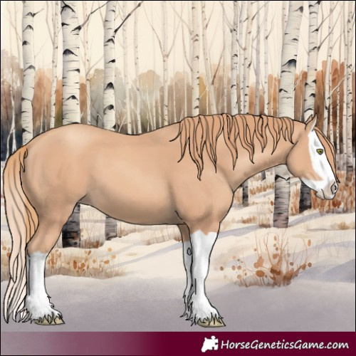 Horse Color:Gold Champagne Splash 