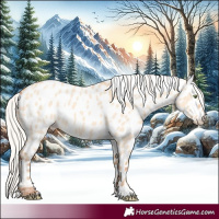 Horse Color:Silver Amber Champagne Dun Appaloosa 