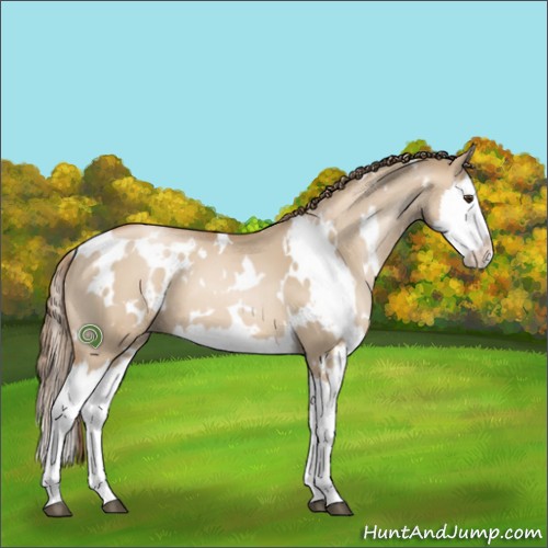 Horse Color:White Spotted Grullo Pearl Splash