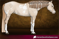 Horse Color:White Spotted Grullo Pearl Splash 