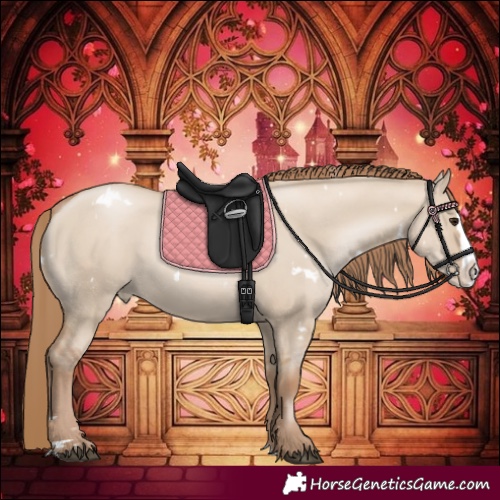 Horse Color:White Spotted Grullo Pearl Splash 