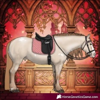 Horse Color:White Spotted Grullo Pearl Splash 