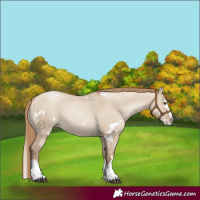 Horse Color:White Spotted Grullo Pearl Splash 