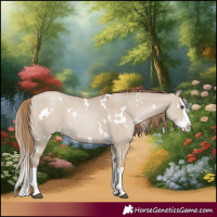 Horse Color:White Spotted Grullo Pearl Splash