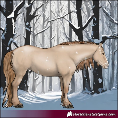 Horse Color:White Spotted Grullo Pearl Splash 