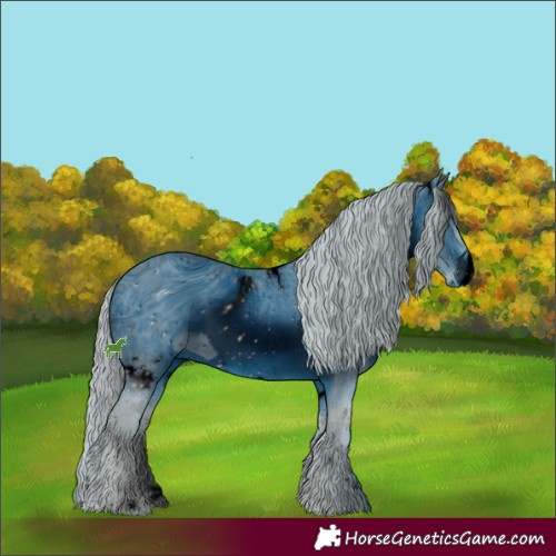 Horse Color:ERROR: UNKNOWN ANOMALY