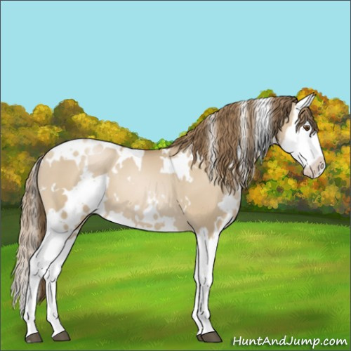 Horse Color:White Spotted Grullo Pearl Splash 