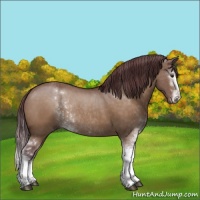 Horse Color:Chocolate Brown Dun Sabino Rabicano 