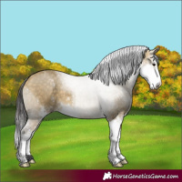 Horse Color:Buckskin Dun Sabino 