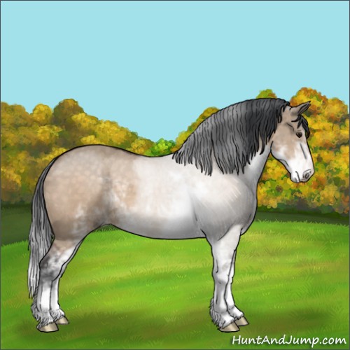 Horse Color:Brown Dun Sabino 
