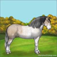 Horse Color:Brown Dun Sabino