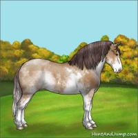 Horse Color:Chocolate Buckskin Dun Sabino 