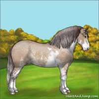 Horse Color:Chocolate Brown Dun Sabino