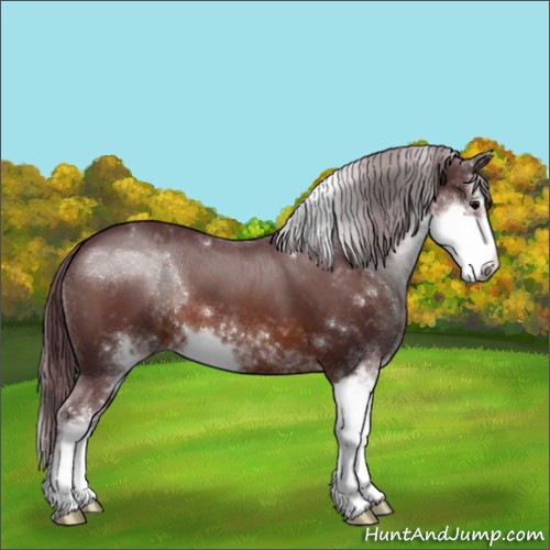 Horse Color:Chocolate Brown Sabino