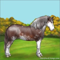 Horse Color:Chocolate Brown Sabino 