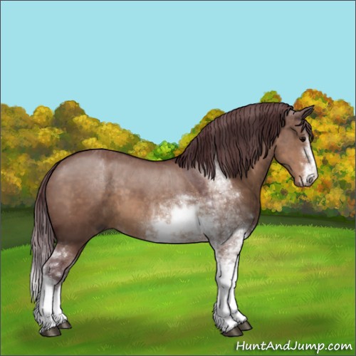 Horse Color:Chocolate Brown Dun Sabino