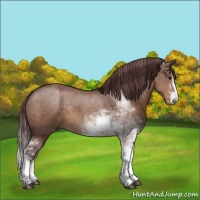 Horse Color:Chocolate Brown Dun Sabino 