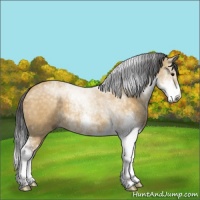 Horse Color:Buckskin Dun Sabino