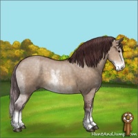 Horse Color:Chocolate Brown Dun Sabino