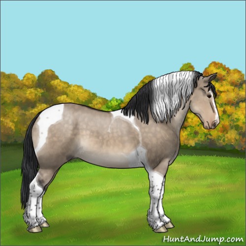 Horse Color:Brown Dun Sabino Tobiano