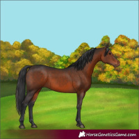 Horse Color:Brown 